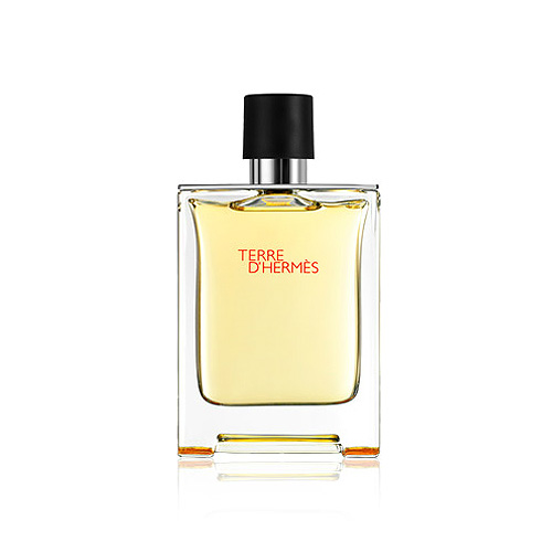 HERMES エルメス テールドエルメス プールオム EDT 100mL